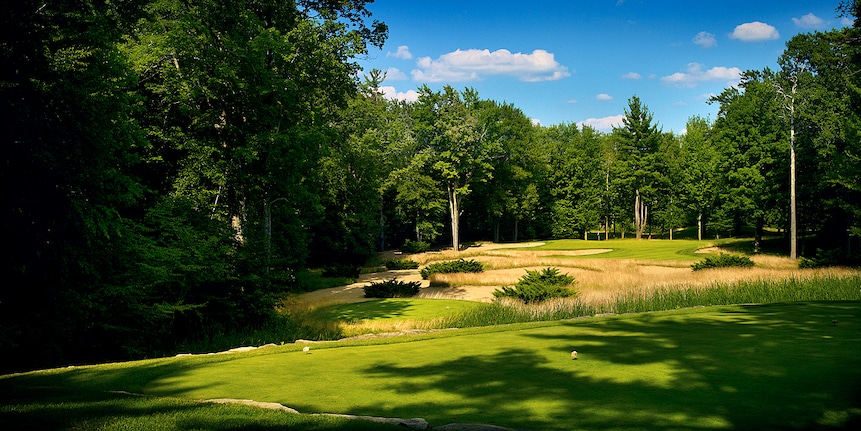 18. (18) Wuskowhan Players Club
